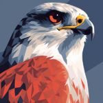 Gyrfalcon the Arctic Predator